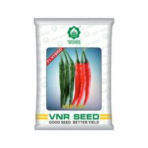 VNR f1 CHILLI HYBRID 1307 (10 gm)