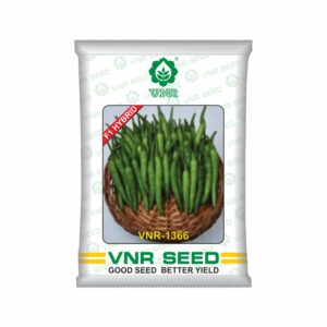 VNR f1 CHILLI HYBRID 1366 (10 gm)