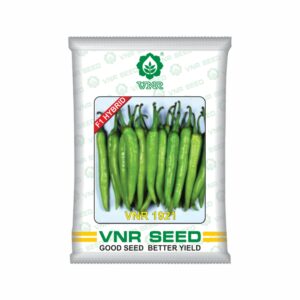 VNR f1 CHILLI HYBRID 1921 (10 gm)