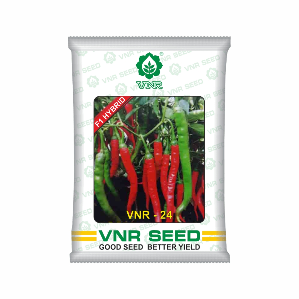 VNR f1 CHILLI HYBRID 24 (10 gm)