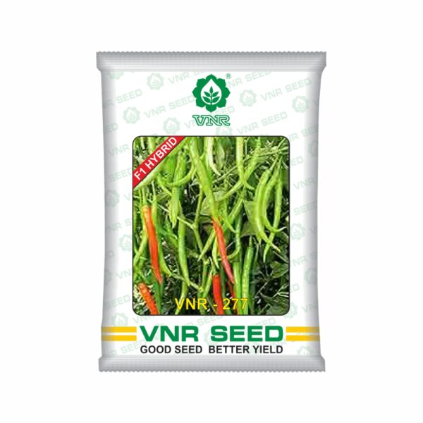 VNR f1 CHILLI HYBRID 277 (10 gm)