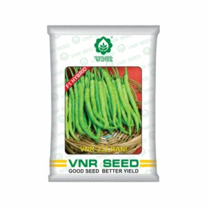 VNR f1 CHILLI HYBRID VNR 332 rani (10 gm)