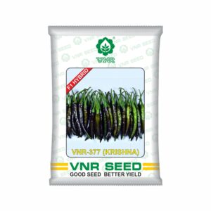 VNR f1 CHILLI HYBRID krishna (vnr-377) (10 gm)