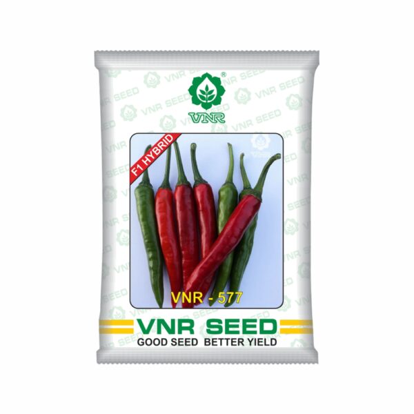 VNR f1 CHILLI HYBRID 577 (10 gm)