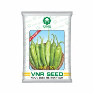 VNR f1 CHILLI HYBRID 707 (10 gm)