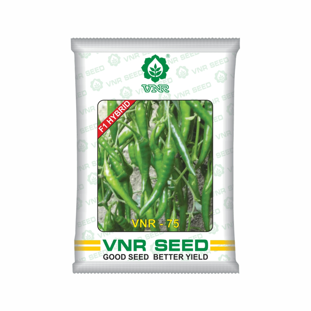 VNR f1 CHILLI HYBRID 75 (10 gm)