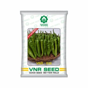 VNR f1 CHILLI HYBRID 836 (10 gm)