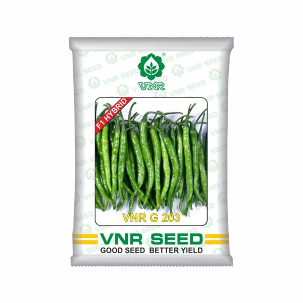 VNR f1 CHILLI HYBRID G-203 (10 gm)