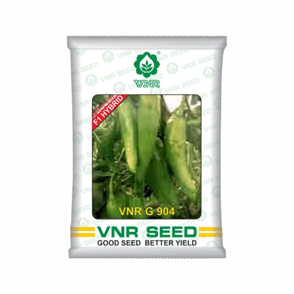 VNR f1 CHILLI HYBRID G-904 (10 gm)