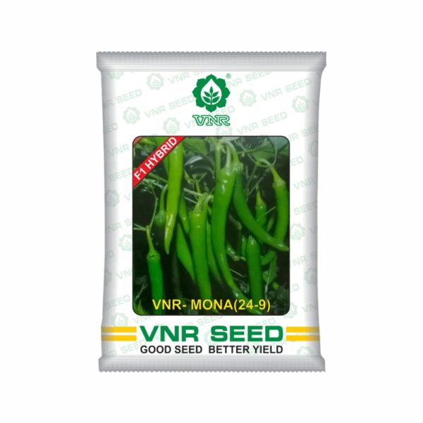 VNR f1 CHILLI HYBRID mona (24-9)(10 gm)