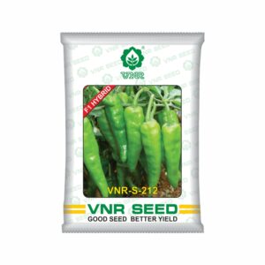 VNR f1 CHILLI HYBRID S-212 (10 gm)