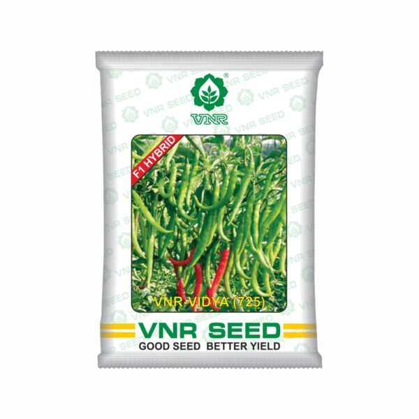 VNR f1 CHILLI HYBRID VIDYA (725) (10 gm)