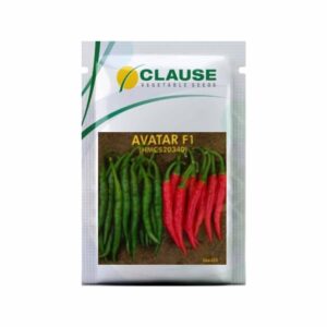 CLAUSE CHILLIES AVATAR F1 (10 GM)