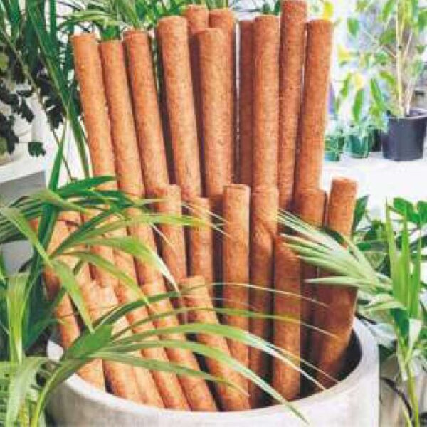 khatarwale coco pole
