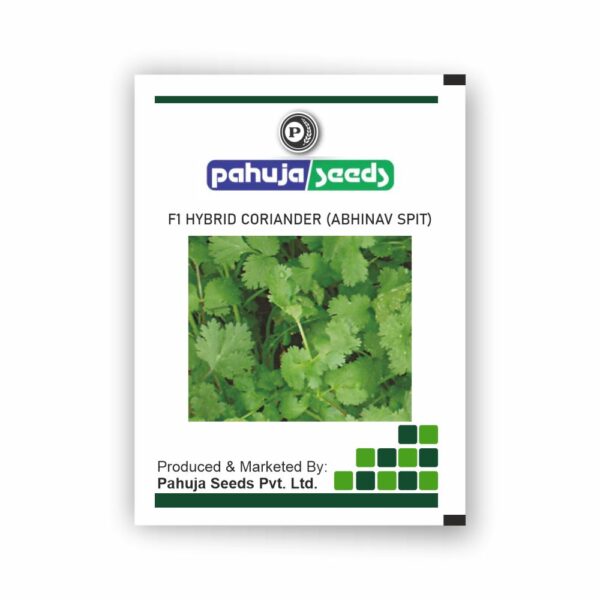 PAHUJA CORIANDER - ( ABHINAV SPIT ) - PAHUJA - 500GMS