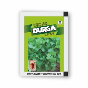 DURGA CORIANDER DURGESH 101(kitchen garden packet) (Minimum 10 Packets)