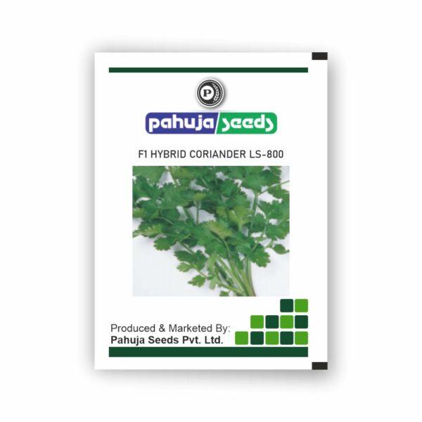 PAHUJA CORIANDER LS - 800 - PAHUJA - (500GMS)