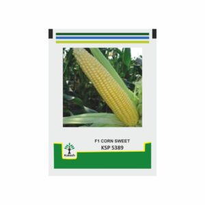 KALASH Corn Sweet KSP 5389 F1 (1 kg)