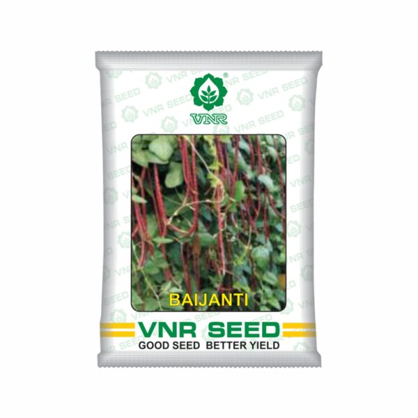 VNR Cowpea baijanti  (250 GM)