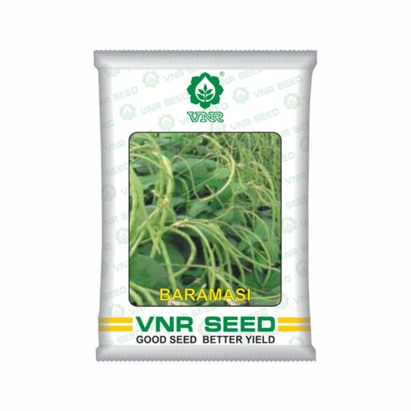 VNR Cowpea baramsi (500 GM)