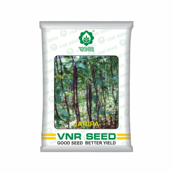 VNR Cowpea jaripa  (500 GM)