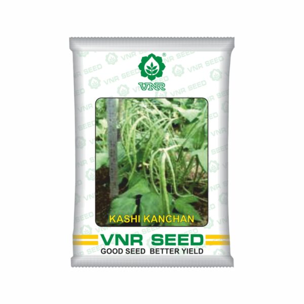 VNR Cow pea kashi kanchan (500 GM)