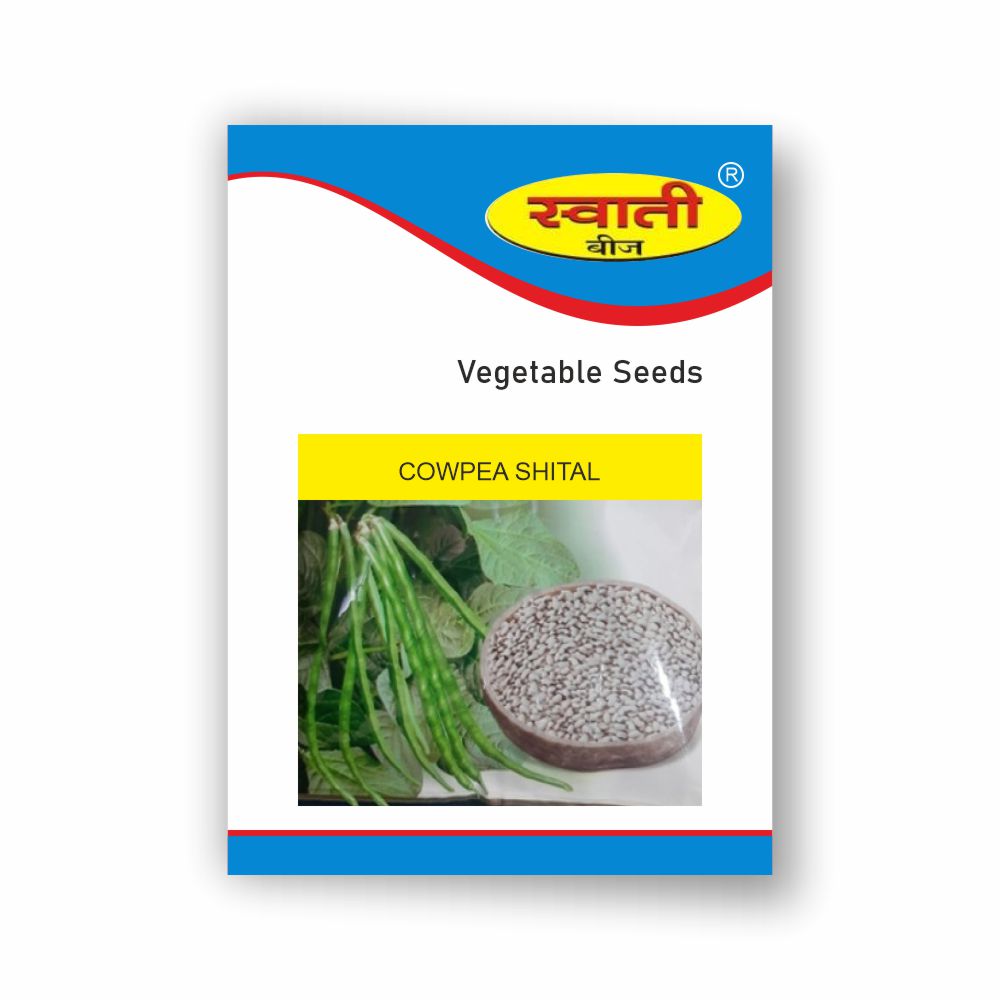 SWATI COWPEA SHITAL (500 GM)