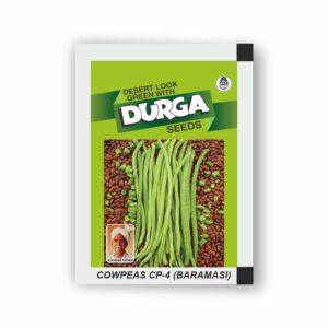 DURGA COWPEAS CP-4 (kitchen garden packet) (Minimum 10 Packets)