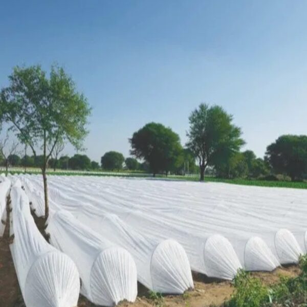 SIDWIN GROW CROP PROTECTION COVER(23 GSM - 63" WIDTH - 625 MTR LENGTH)