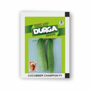 DURGA hybrid CUCUMBER CHAMPION F1 (kitchen garden packet) (Minimum 10 Packets)
