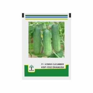 BanBaek Dadagi Cucumber Seeds 50ea Type H Stability Low Deformity Percentage 