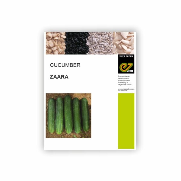 ENZA CUCUMBER ENZA ZAARA (25 GM)
