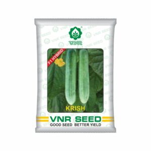 VNR f1 Cucumber hybrid krish (10 gm)