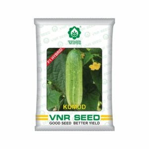 VNR f1 Cucumber hybrid kumud (10 gm)