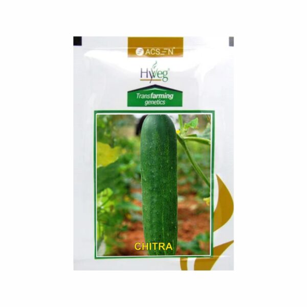 RASI-ACSEN HYVEG CUCUMBER CHITRA (25 GM)