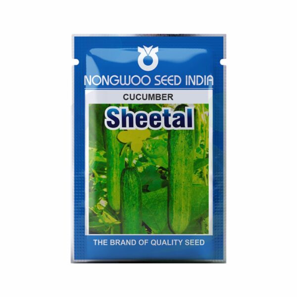 NONGWOO CUCUMBER SHEETAL (25 GM)