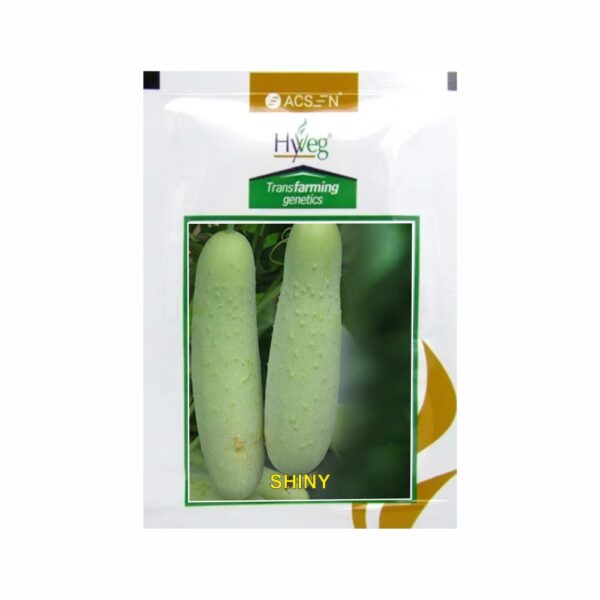 RASI-ACSEN HYVEG CUCUMBER SHINY (25 GM)