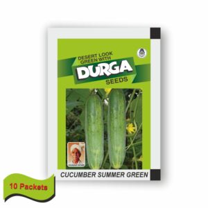 DURGA CUCUMBER SUMMER GREEN (kitchen garden packet) (Minimum 10 Packets)