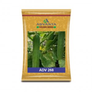 ADVANTA/upl CUCUMBER ADV 268 (25 GM)