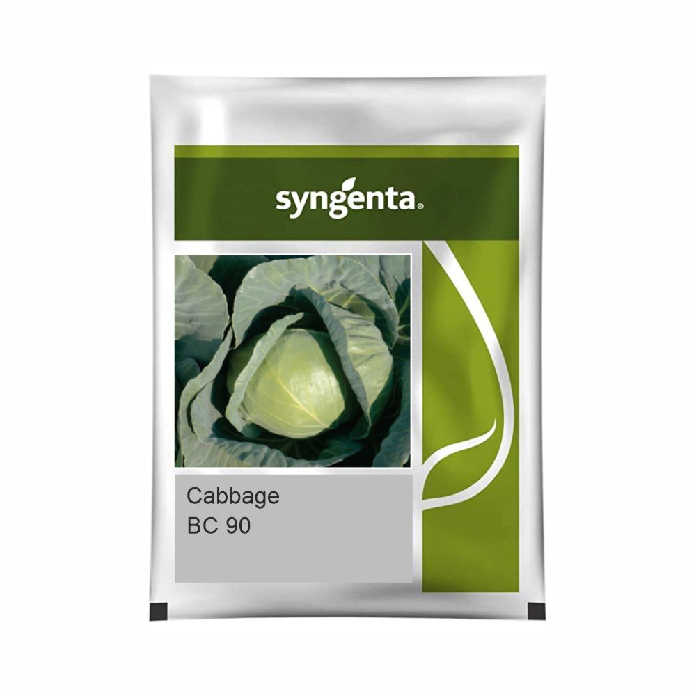 SYNGENTA CABBAGE BC 90 (2000 SEEDS)
