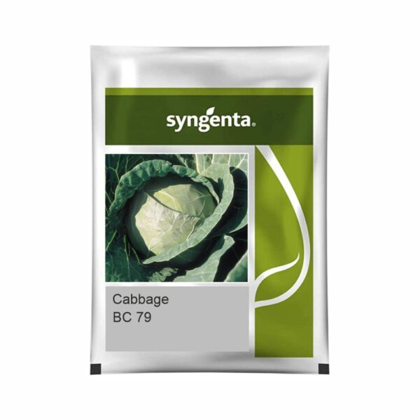 SYNGENTA CABBAGE BC 79 (2000 SEEDS)