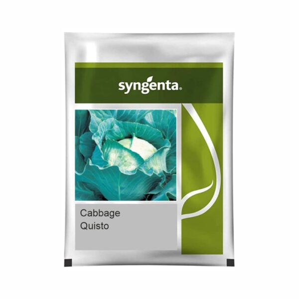 SYNGENTA CABBAGE QUISTO (2500 SEEDS)