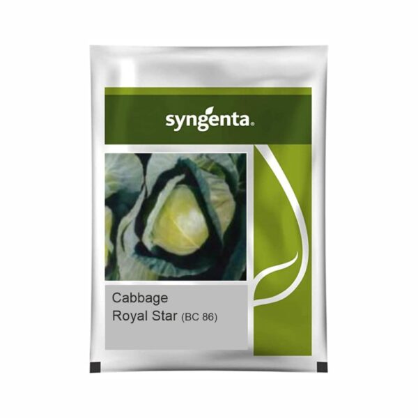 SYNGENTA CABBAGE ROYAL STAR BC86 (2500 SEEDS)
