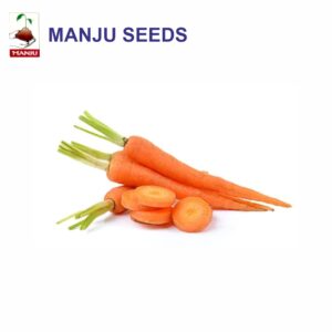 manju Carrot seeds (1 KG)(PACK OF 10)