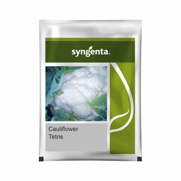SYNGENTA CAULIFLOWER TETRIS (20000 SEEDS)