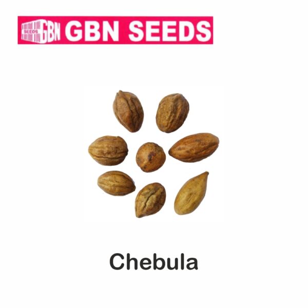 GBN chebula (Harad) seeds (1 KG)(pack of 10)