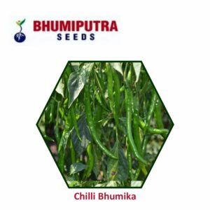 BHUMIPUTRA Hybrid Chilli Bhumika seeds (10 GM)