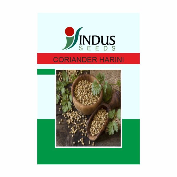 I&B CORIANDER HARINI (500 GM)