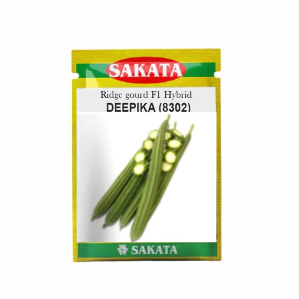 SAKATA RIDGE GOURD F1 DEEPIKA (8302) (50 GM) (POUCH)