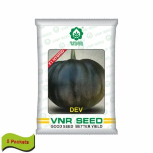 VNR Pumpkin hybrid dev (10 gm) (5 packets)